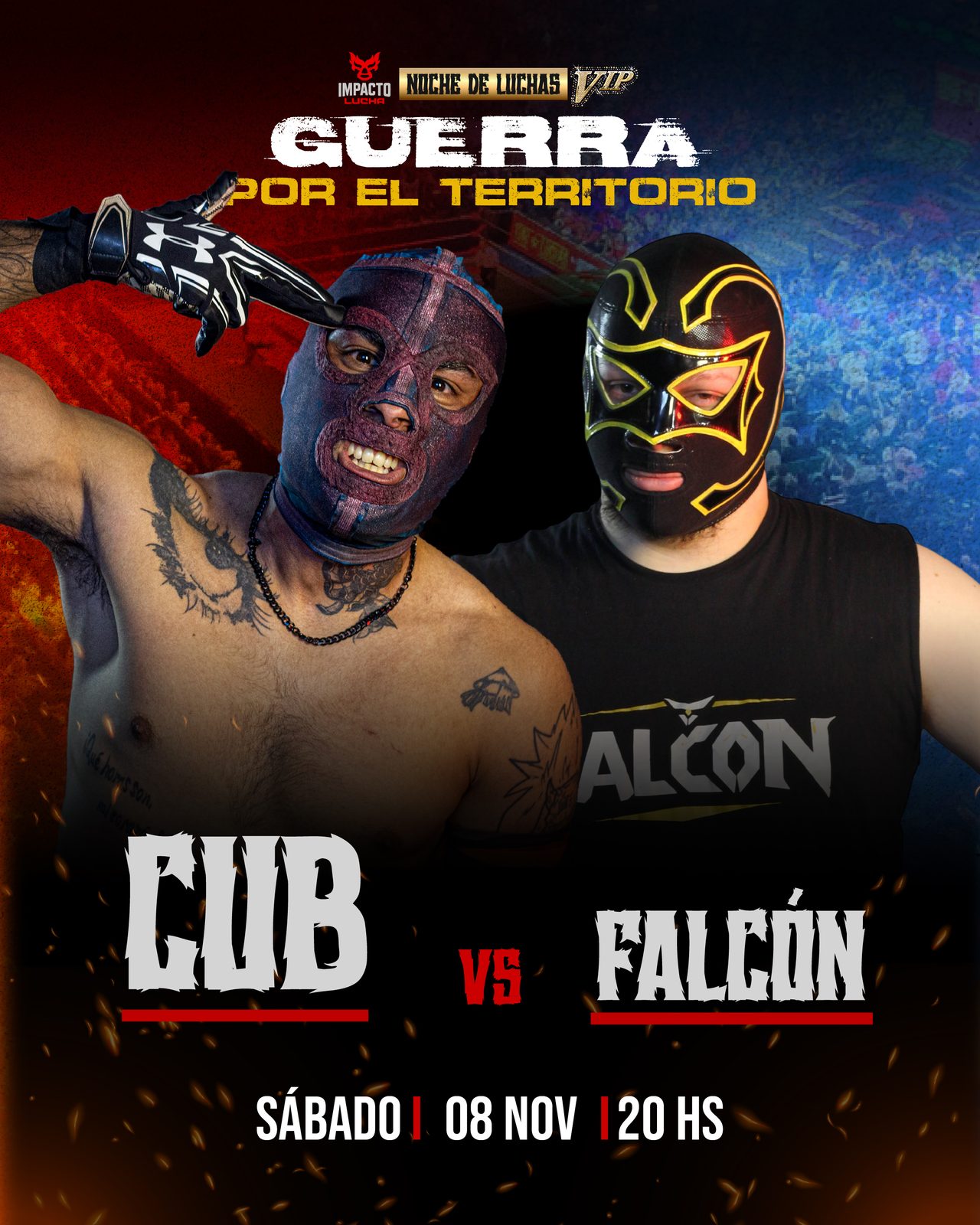 Cub vs Falcon